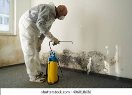 Mold Odor Removal Services in Morro Bay, CA